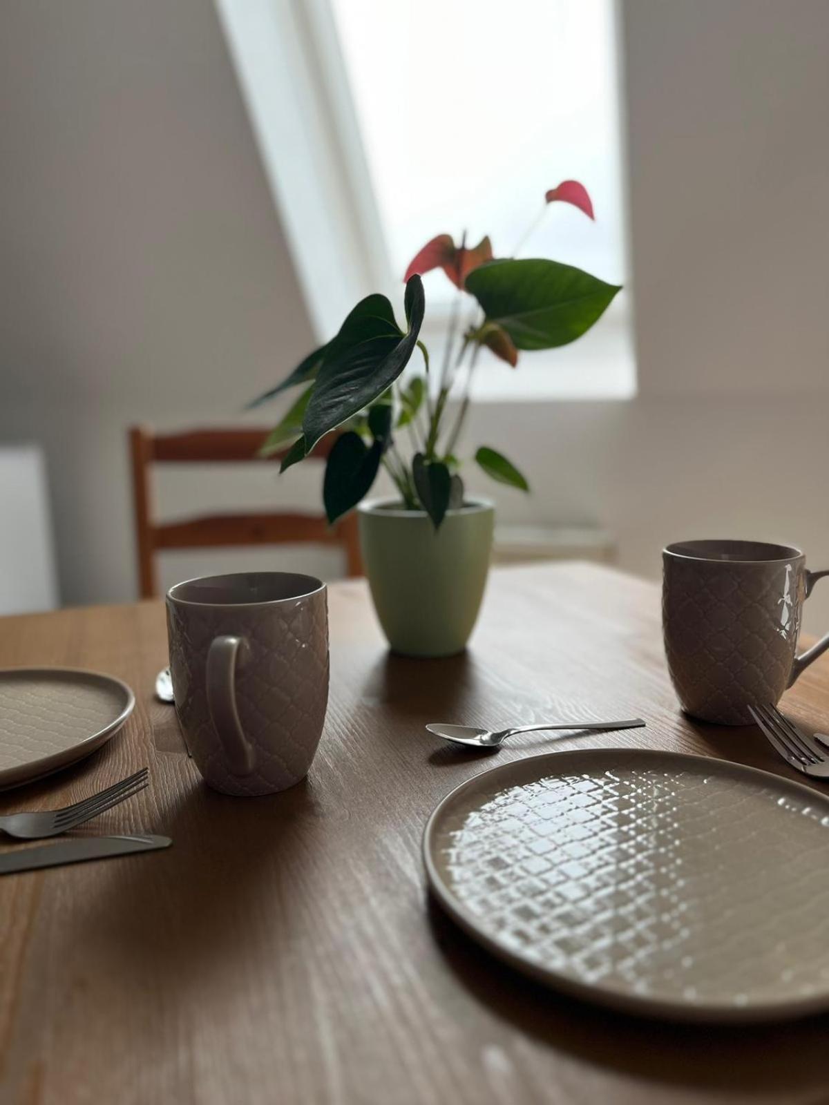 1 Raum Dachgeschosswohnung In Ruhiger Lage Limabach - Oberfrohna エクステリア 写真